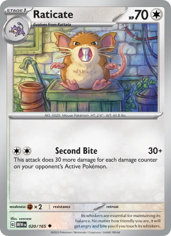 Raticate, 020/165