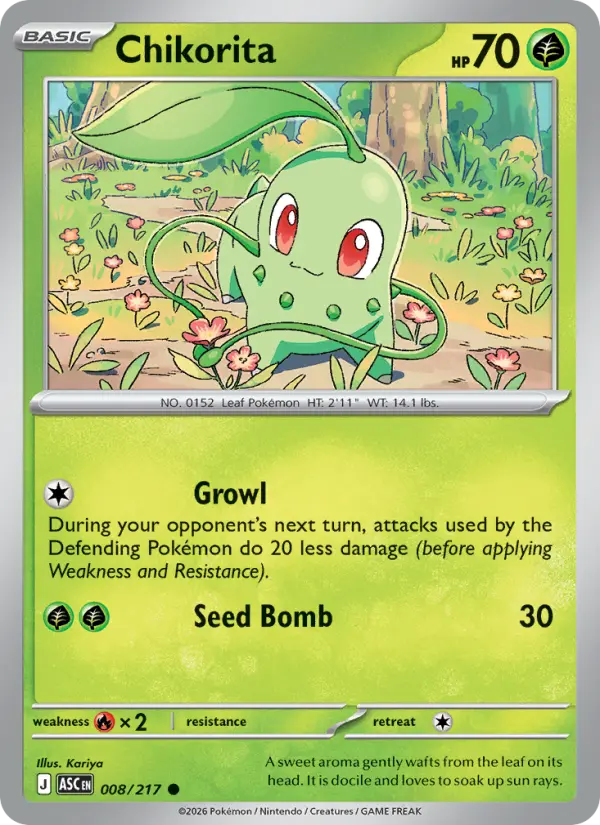 Chikorita, 008/217