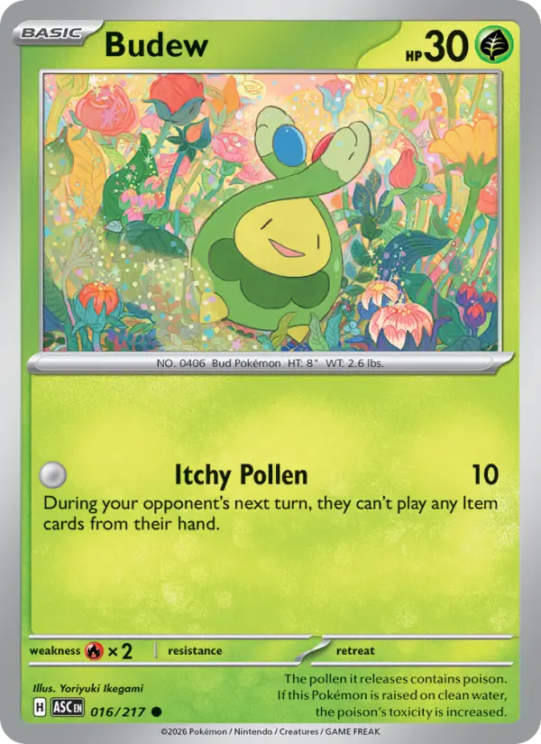 Budew, 016/217
