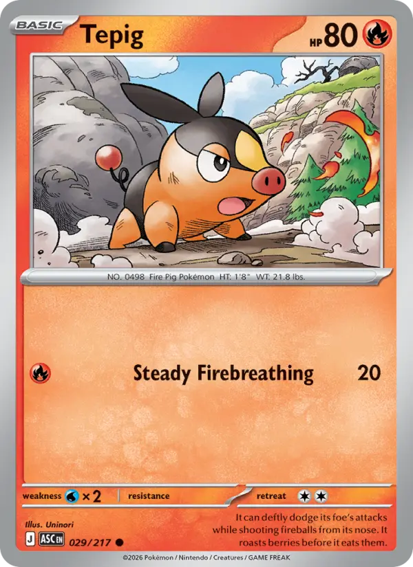 Tepig, 029/217