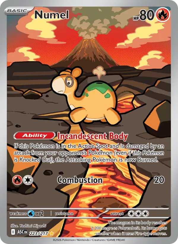 Numel, 223/217