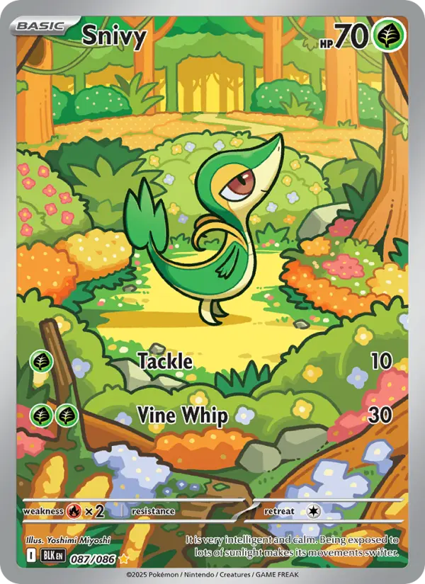 Snivy, 087/086