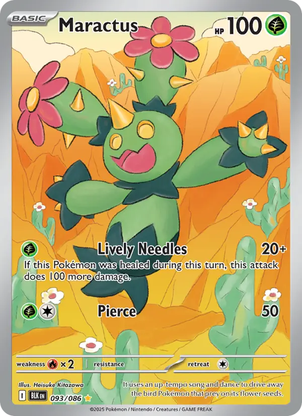 Maractus, 093/086
