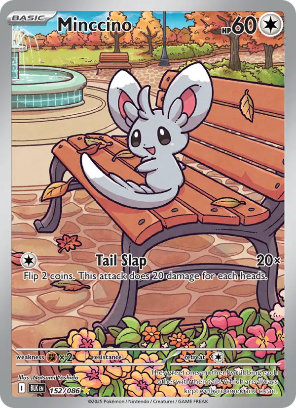 Minccino, 152/086