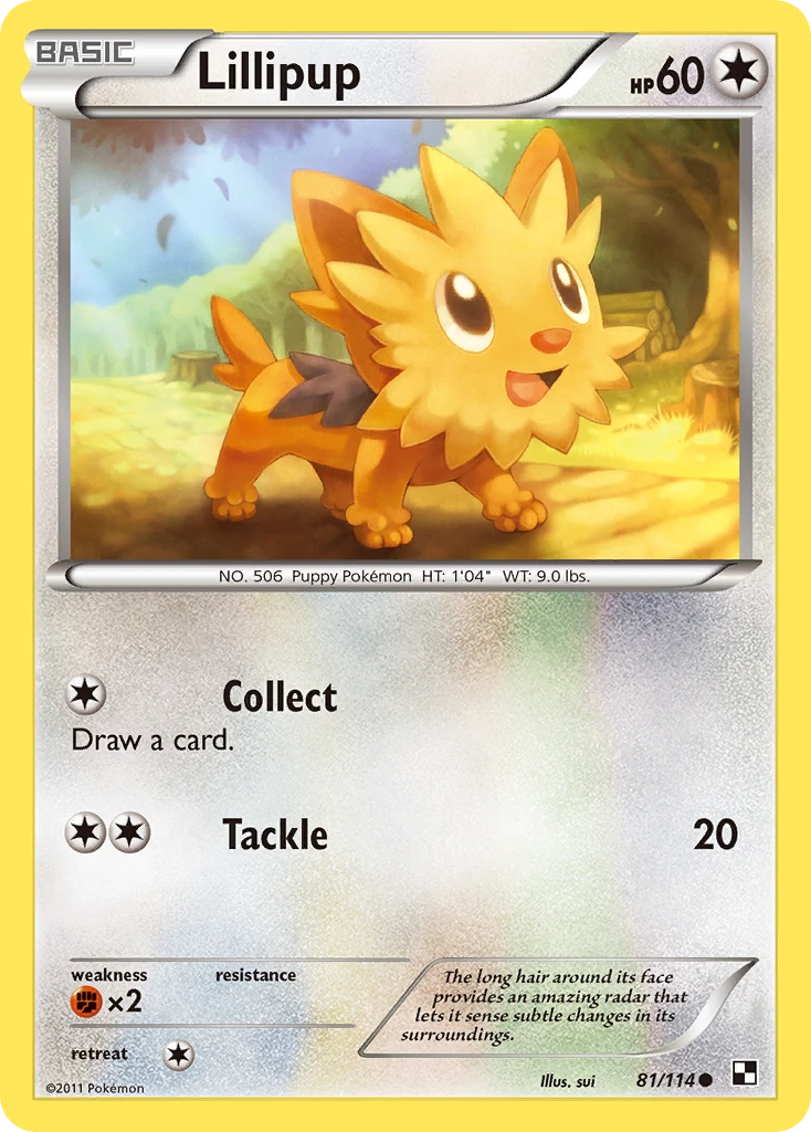 Lillipup, 081/114