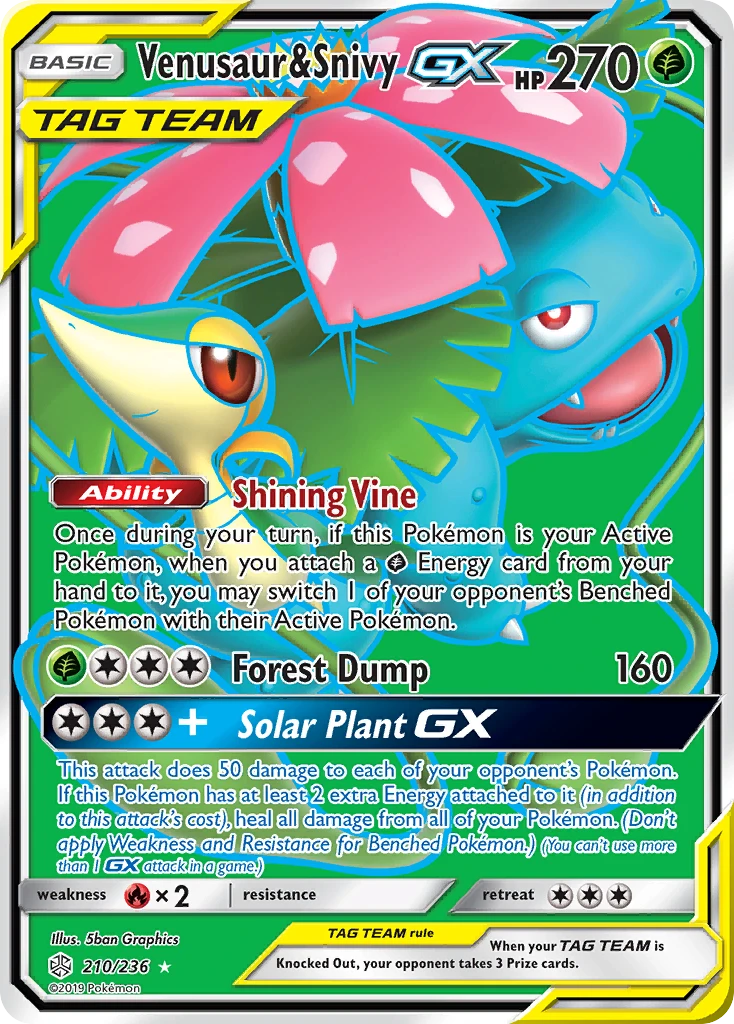 Venusaur & Snivy-GX, 210/236