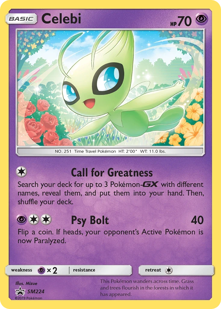 Celebi, SM224/SM248
