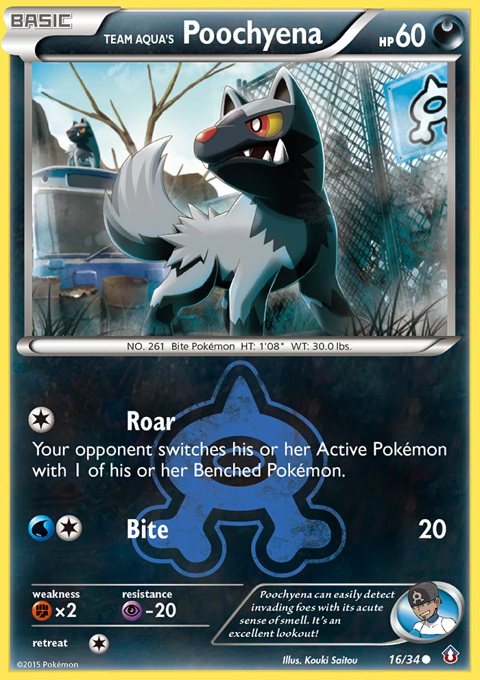 Team Aqua's Poochyena, 016/034