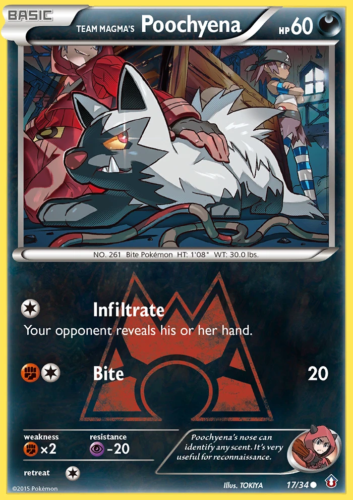 Team Magma's Poochyena, 017/034