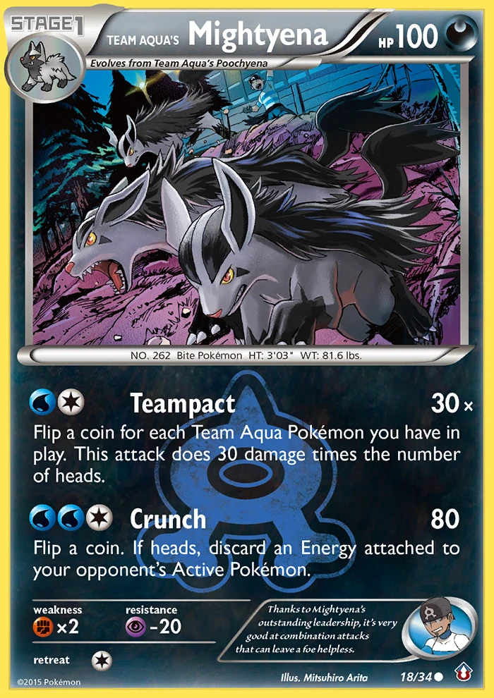 Team Aqua's Mightyena, 018/034