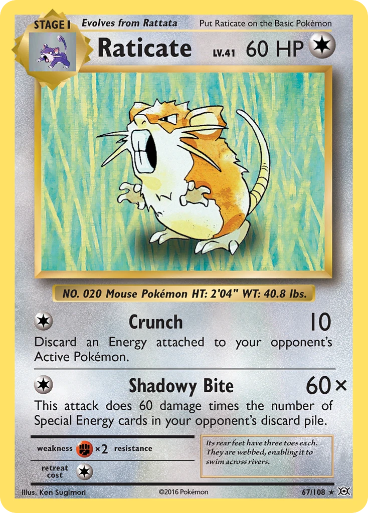 Raticate, 067/108