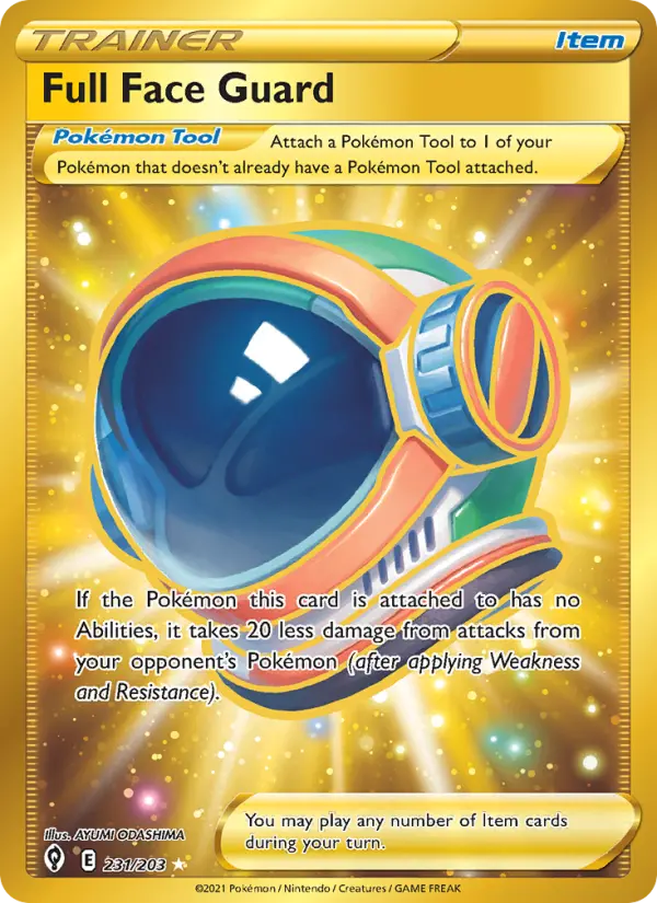 Full Face Guard, 231/203