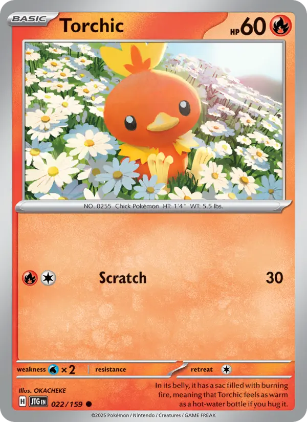 Torchic, 022/159