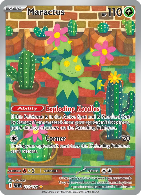 Maractus, 160/159