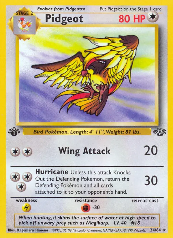 Pidgeot, 024/064