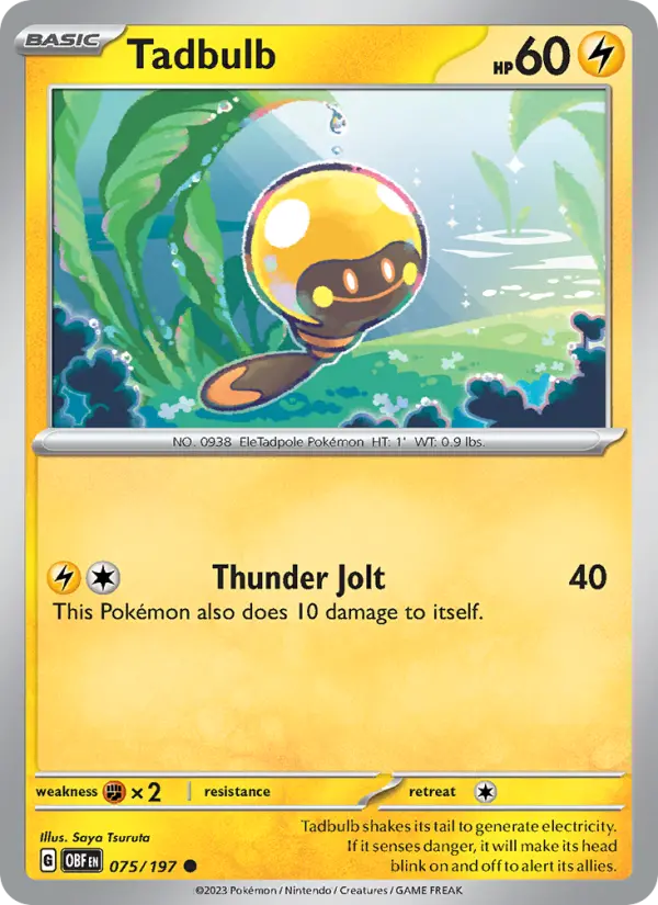 Tadbulb, 075/197