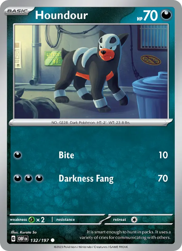Houndour, 132/197