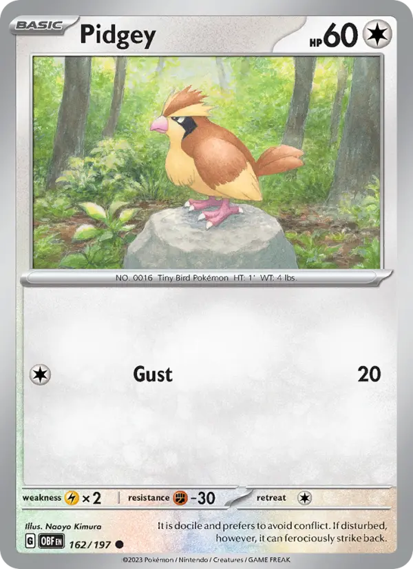 Pidgey, 162/197