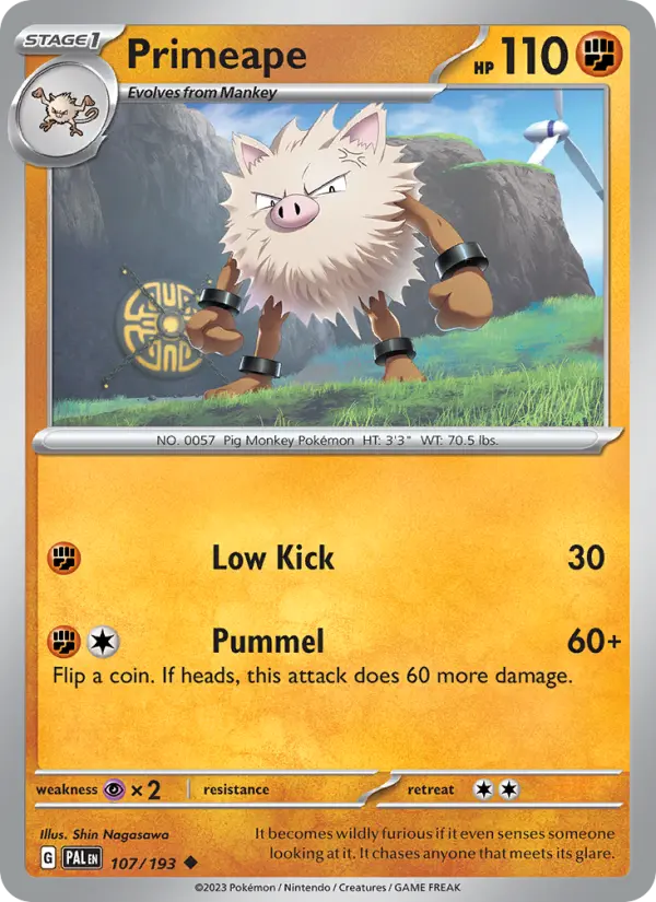 Primeape, 107/193