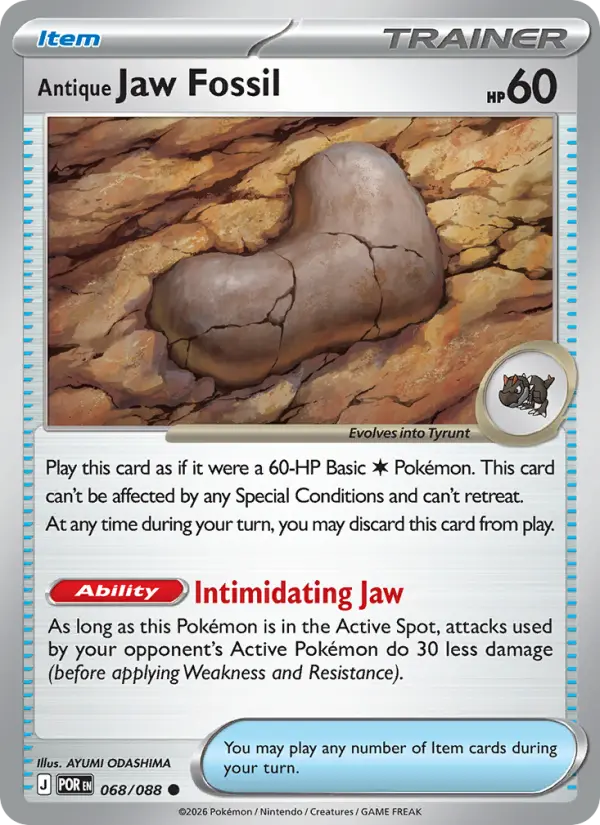 Antique Jaw Fossil, 068/088
