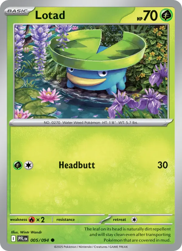 Lotad, 005/094