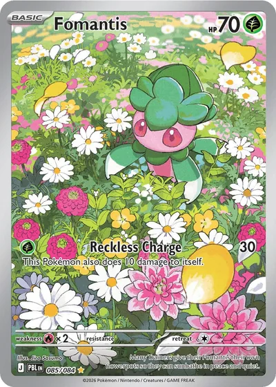 Fomantis, 085/084
