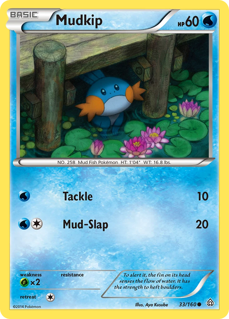 Mudkip, 033/160