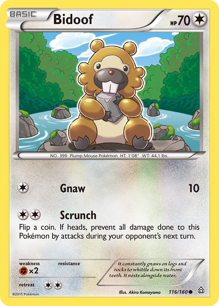 Bidoof, 116/160
