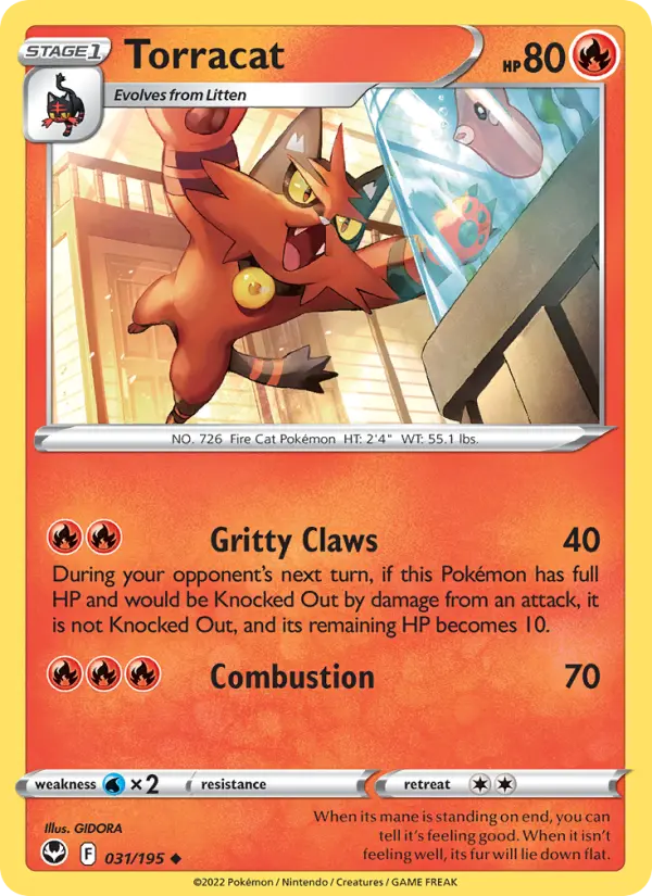 Torracat, 031/195