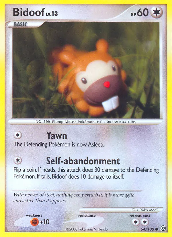 Bidoof, 54/100