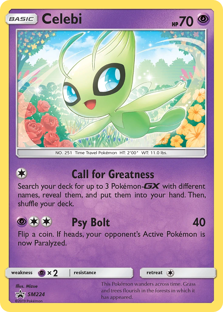 Celebi, SM224/SM248