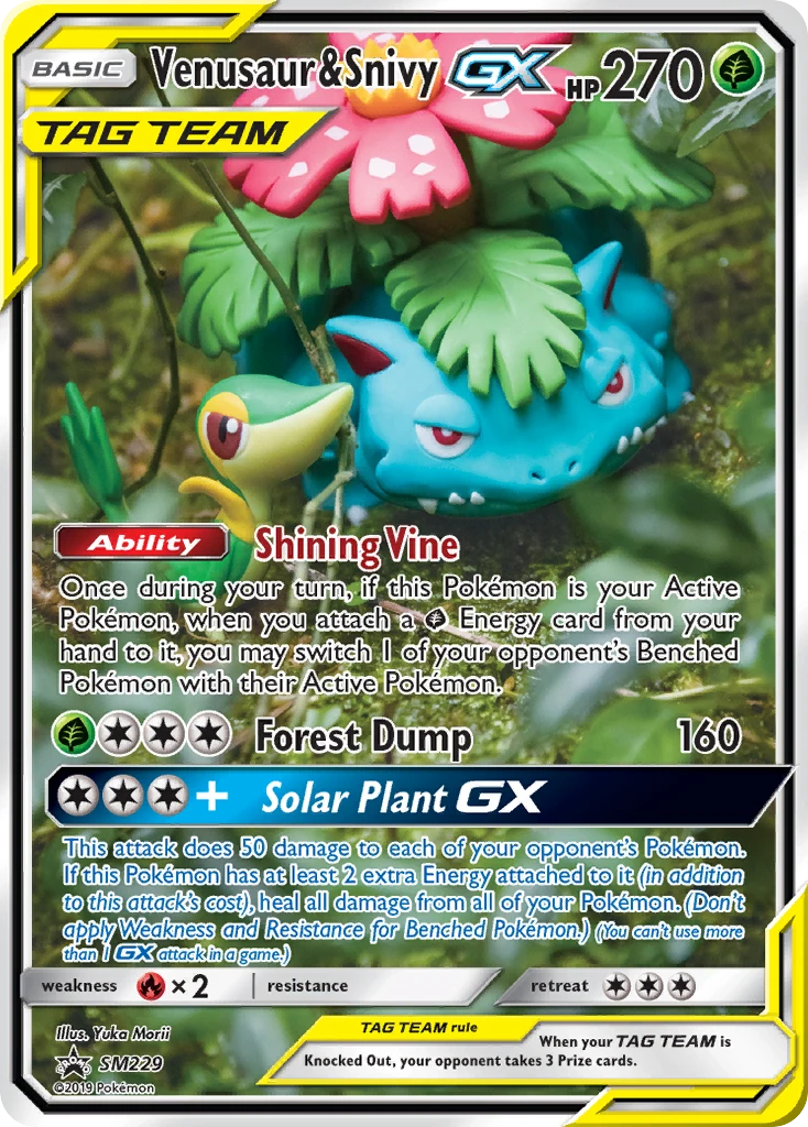 Venusaur & Snivy-GX, SM229/SM248