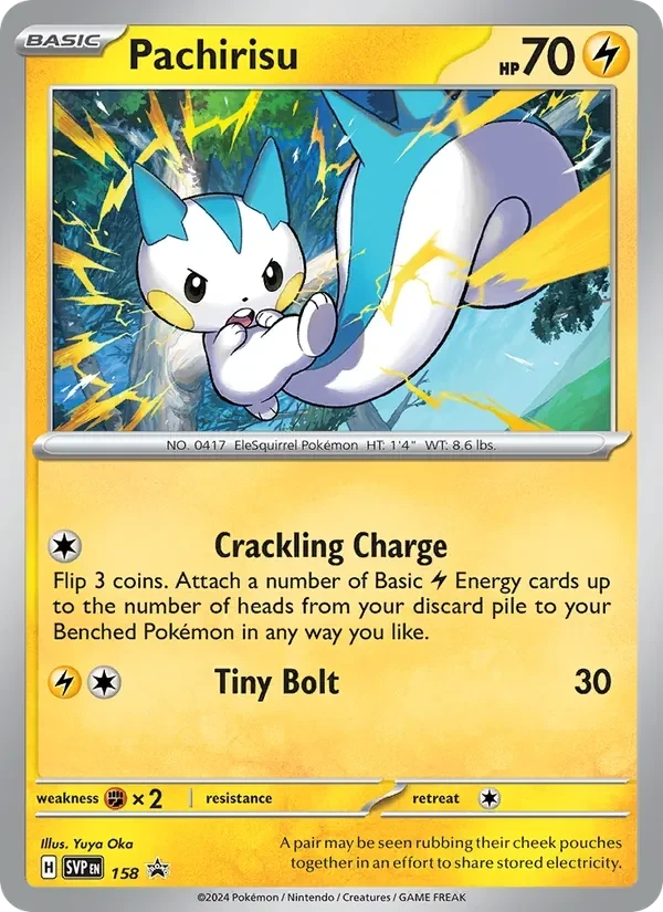 Pachirisu, SVP158