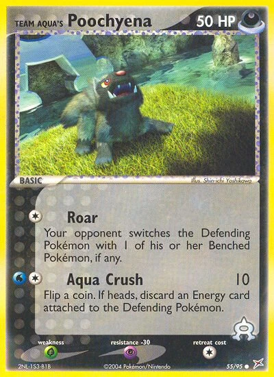 Team Aqua's Poochyena, 55/95