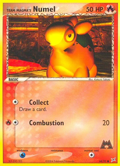 Team Magma's Numel, 64/95