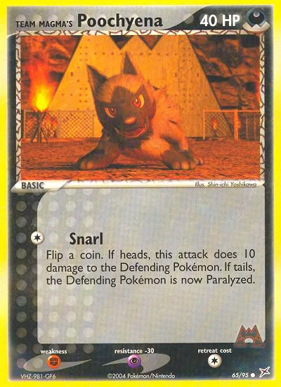 Team Magma's Poochyena, 65/95