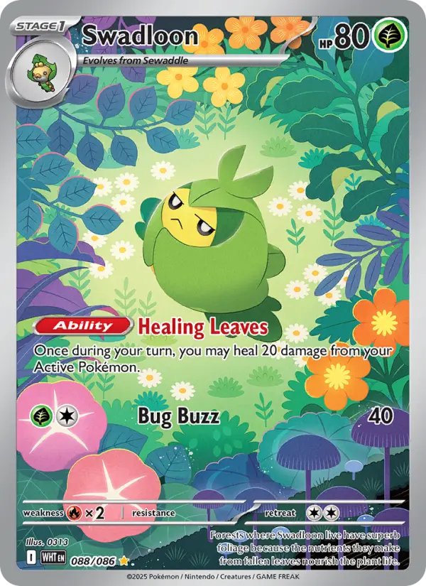 Swadloon, 088/086