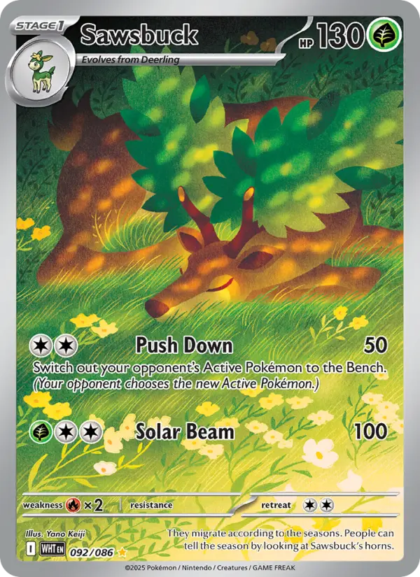 Sawsbuck, 092/086