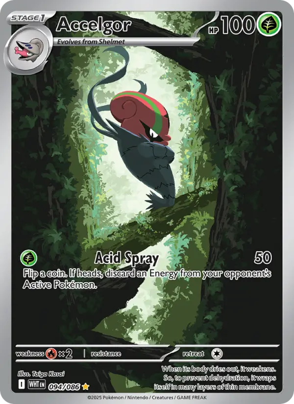 Accelgor, 094/086