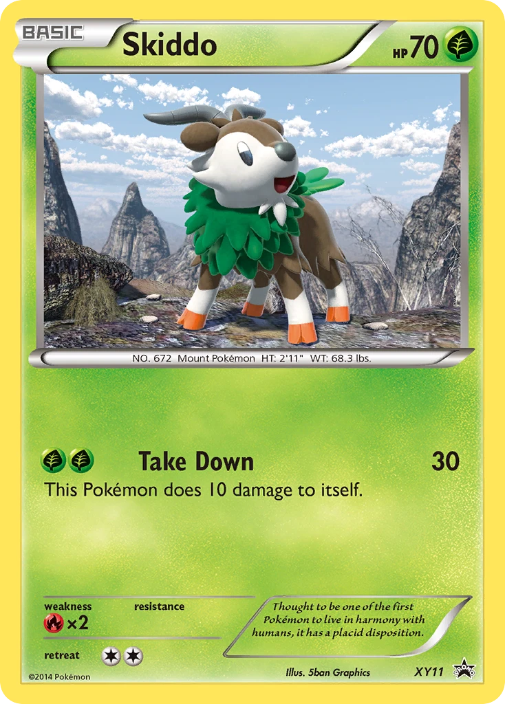 Skiddo, XY11
