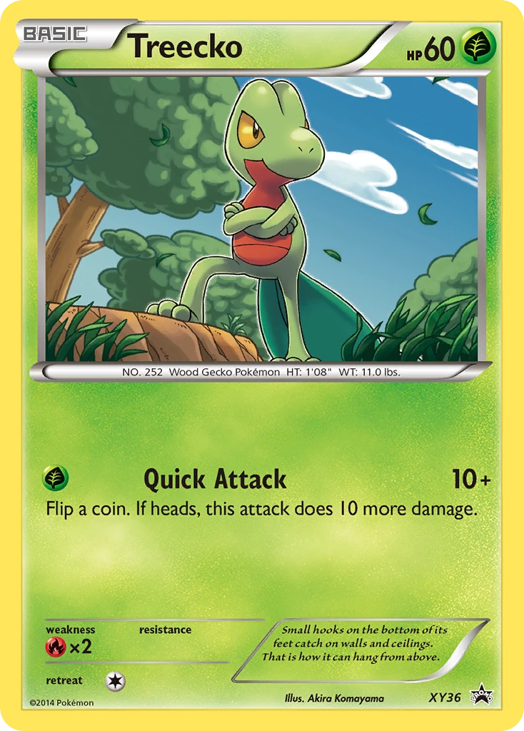 Treecko, XY36