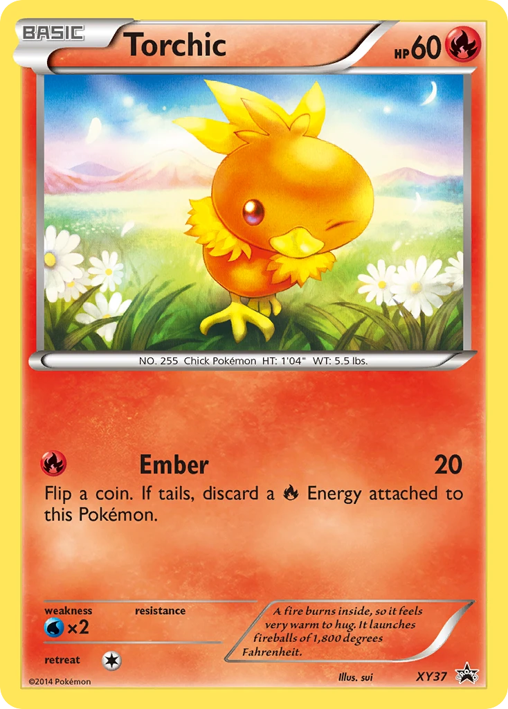 Torchic, XY37
