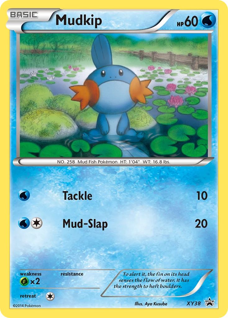 Mudkip, XY38