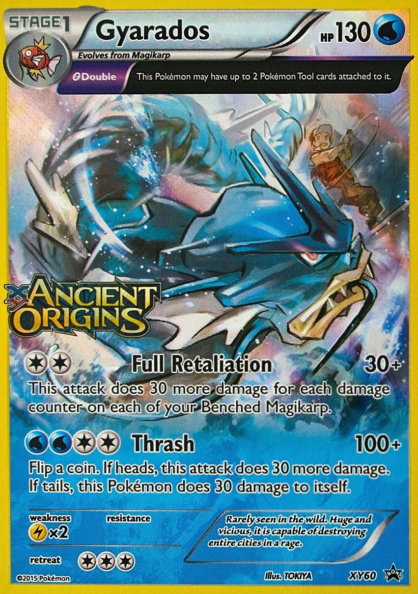 Gyarados, XY60